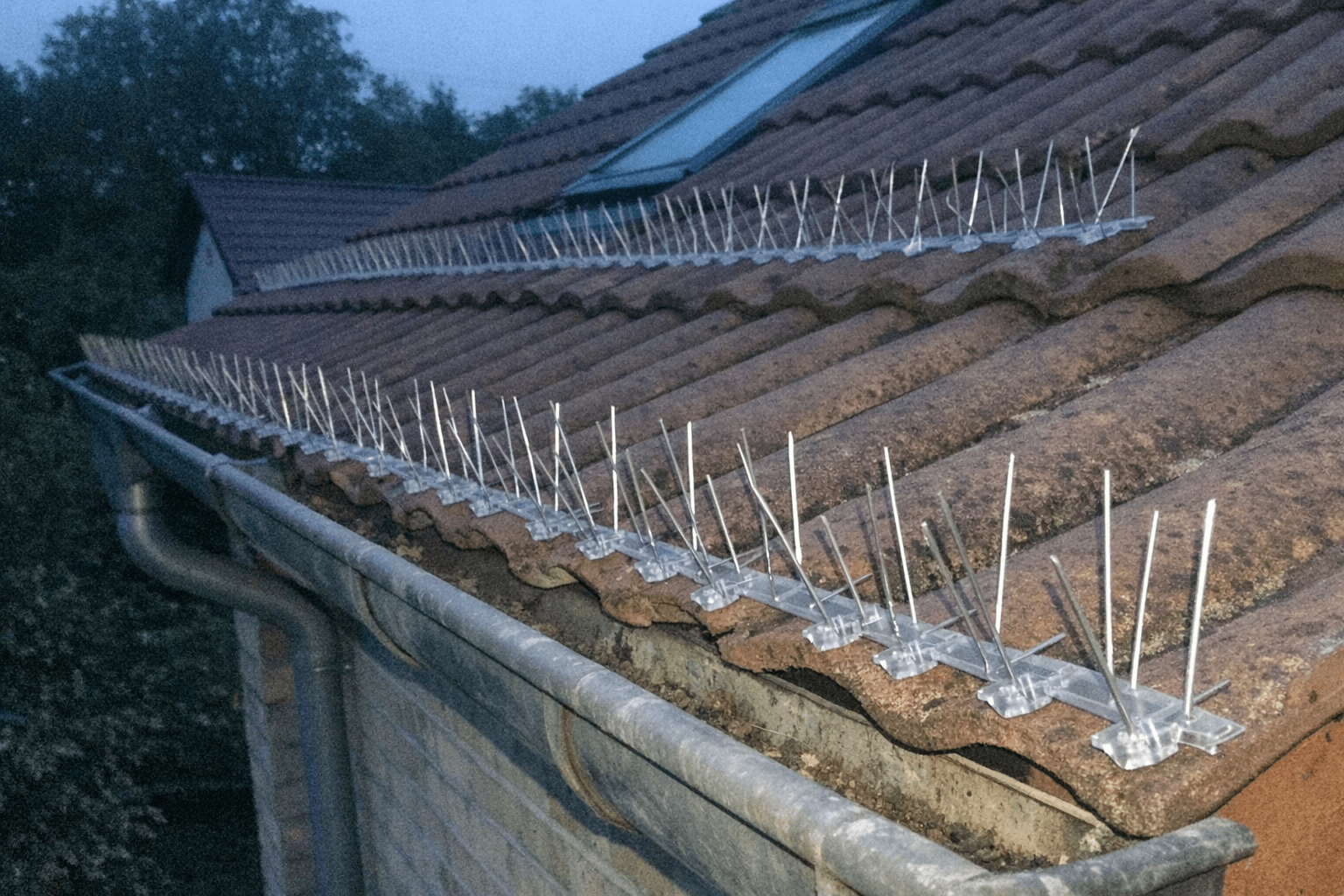 Schrägdach mit Spikes entlang der Traufkante, klarer Himmel